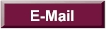 E-Mail Us For More Information on Our Business Valuation and Appraisal Services